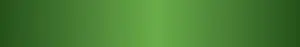 Home Inspection Las Vegas Banner
