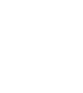 Home Inspection Las Vegas Icon