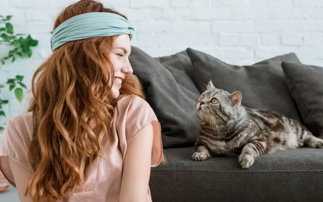 6 Cleaning Tips for Pet Owners