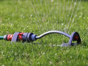 conserving water in the summer