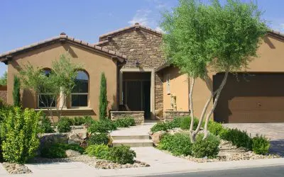 Landscaping for Desert Homes: Creating a Beautiful Outdoor Oasis