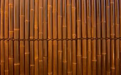 Eco-Friendly Fencing Materials That Don’t Cut Corners