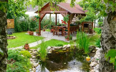 From Bare to Beautiful: Landscape Design Tips Every Homeowner Should Know