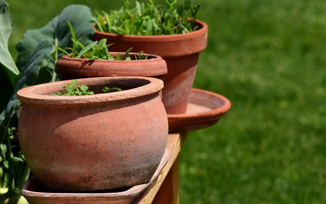 container gardening is perfect for growing food in small spaces