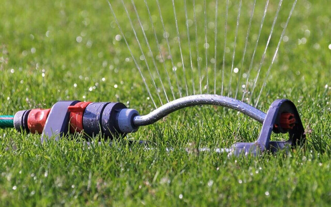 5 Tips for Conserving Water in the Summer