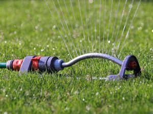 conserving water in the summer