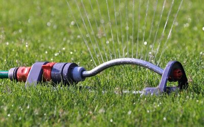 5 Tips for Conserving Water in the Summer